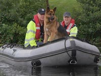 Garda Dog in Boat on river